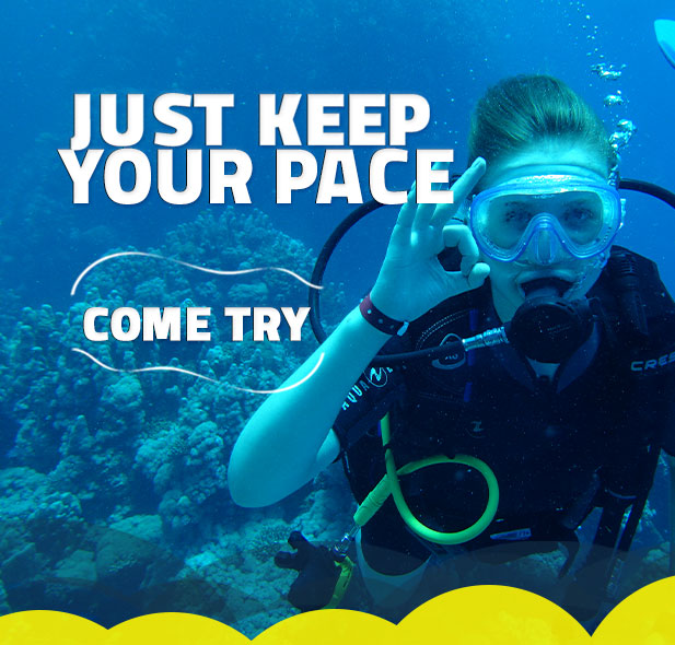 Egypt Explorer Trip Advisor